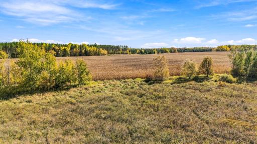 0000 Holly Rd, Pine City, MN 55063