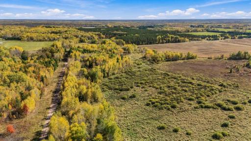 0000 Holly Rd, Pine City, MN 55063
