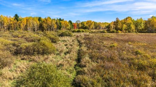 0000 Holly Rd, Pine City, MN 55063