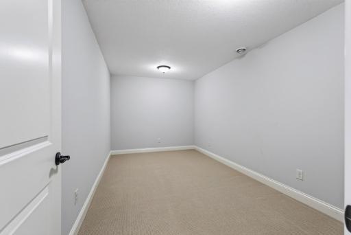 A versatile lower-level bonus space is ready to become whatever fits your lifestyleâan exercise room, play area, or hobby space