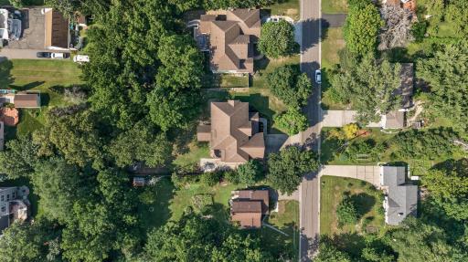 Mature trees surround the property, creating a beautiful sense of privacy and an established setting that feels tucked away from the everyday.