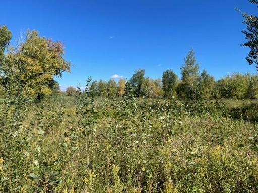 TBD 471st LN, Mcgregor, MN 55760