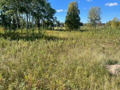TBD 471st LN, Mcgregor, MN 55760