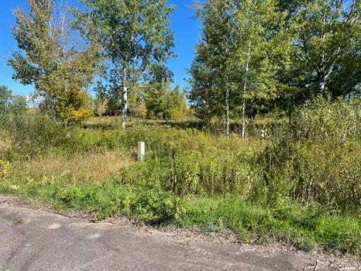 TBD 471st LN, Mcgregor, MN 55760