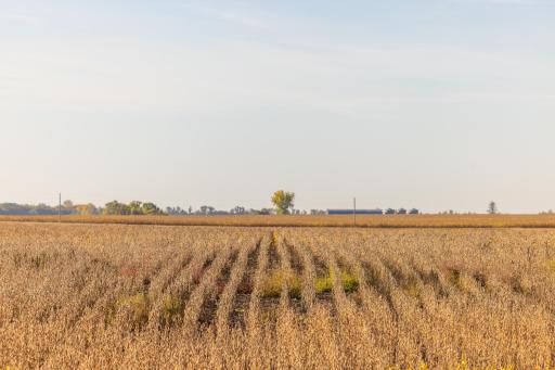 TBD 46 St SE Lot 1, Alice, ND 58031