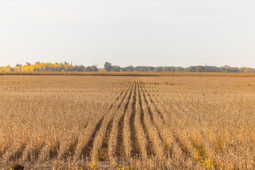 TBD 46 St SE Lot 1, Alice, ND 58031