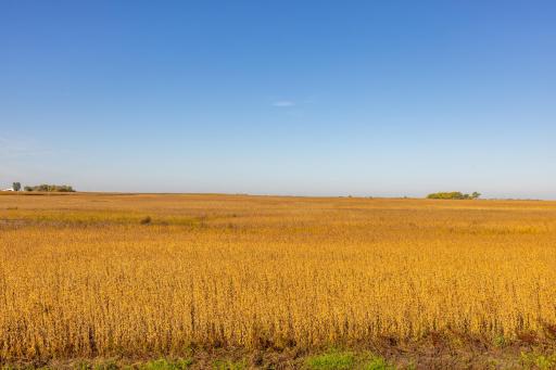 TBD 46 St SE Lot 1, Alice, ND 58031