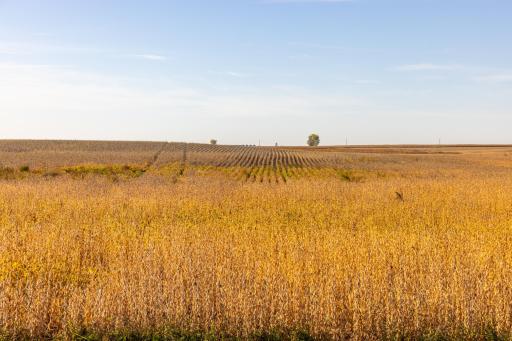 TBD 46 St SE Lot 1, Alice, ND 58031