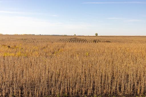 TBD 46 St SE Lot 1, Alice, ND 58031