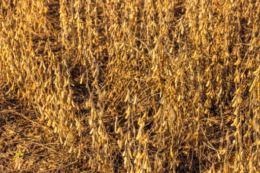 TBD 46 St SE Lot 2, Alice, ND 58031