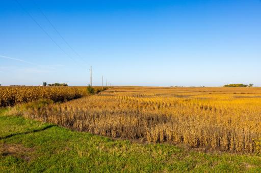 TBD 46 St SE Lot 2, Alice, ND 58031
