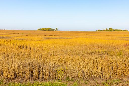 TBD 46 St SE Lot 2, Alice, ND 58031