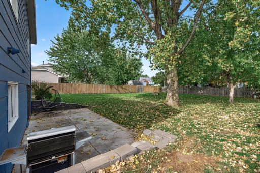 3487 133rd Lane NW, Andover, MN 55304