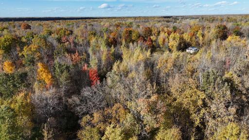 12168 250th Street, Milaca, MN 56353
