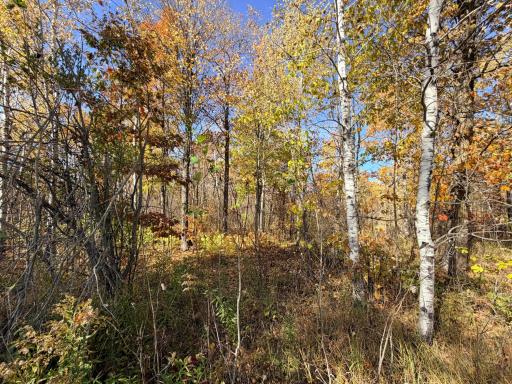 12168 250th Street, Milaca, MN 56353