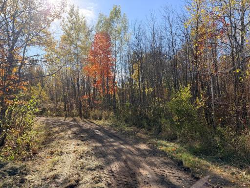 12168 250th Street, Milaca, MN 56353