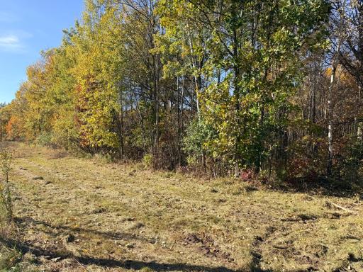 12168 250th Street, Milaca, MN 56353