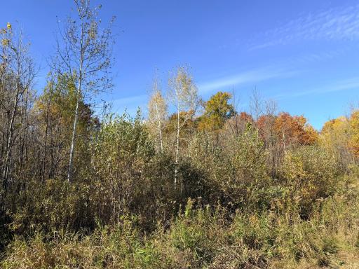 12168 250th Street, Milaca, MN 56353