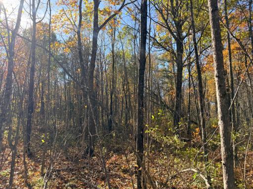 12168 250th Street, Milaca, MN 56353