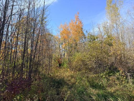 12168 250th Street, Milaca, MN 56353