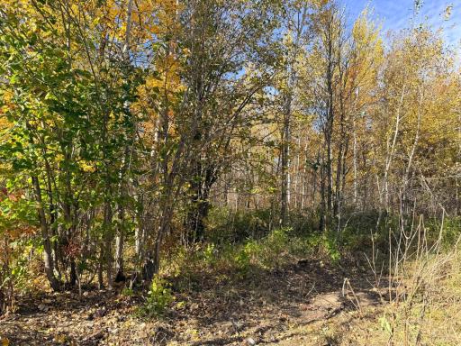 12168 250th Street, Milaca, MN 56353