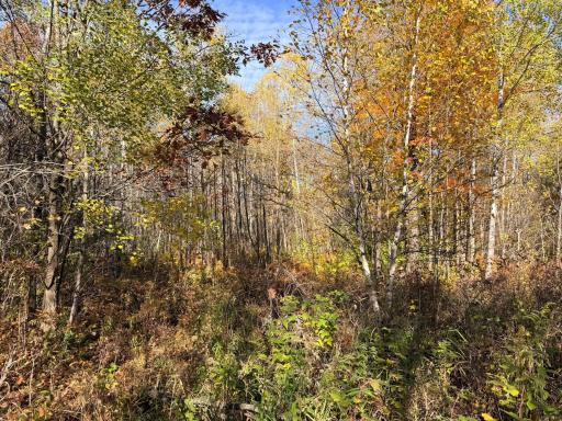 12168 250th Street, Milaca, MN 56353