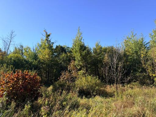 12168 250th Street, Milaca, MN 56353