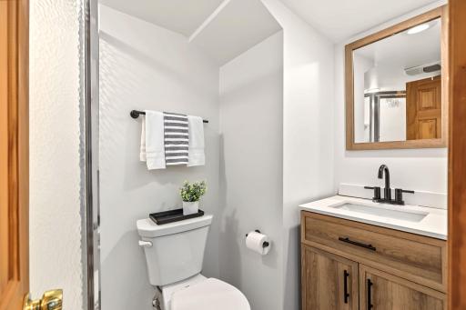 Lower level bathroom complete with shower