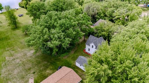 Brand new shingles and mature trees for privacy