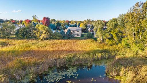 The deep rear yard leads to the nature preserve.