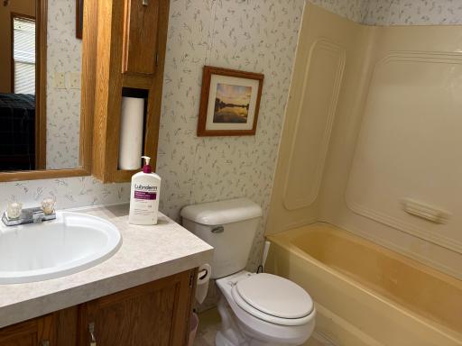 204 E Hibbard Avenue, Belview, MN 56214