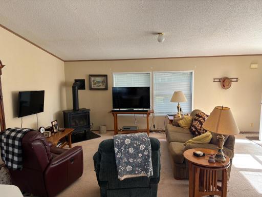 204 E Hibbard Avenue, Belview, MN 56214