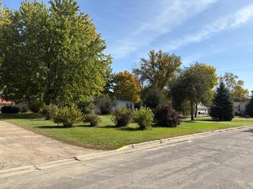 204 E Hibbard Avenue, Belview, MN 56214