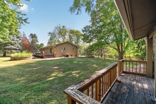 A fully fenced-in yard with good tree coverage and plenty of grass.
