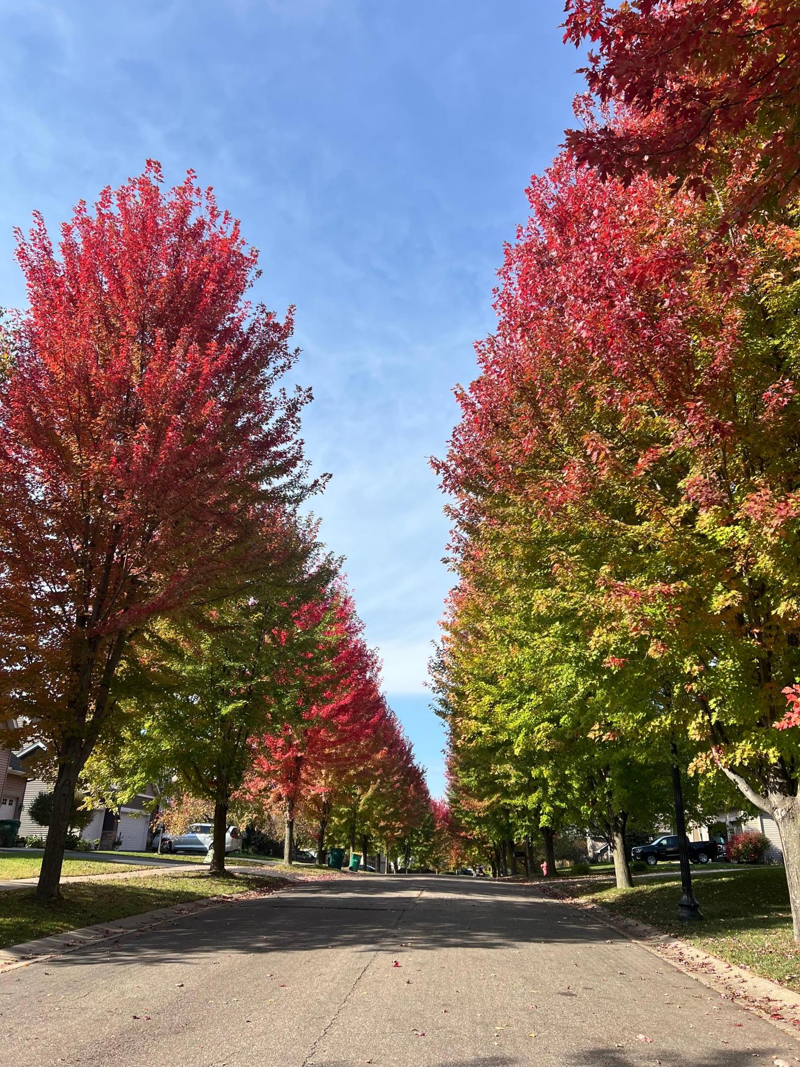 Fall Nature Views