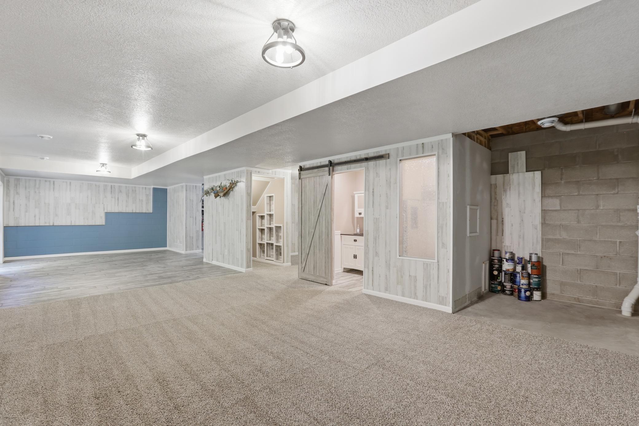 Large Walkout Lower Level