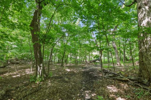 9142 Woodland Drive, Saint Bonifacius, MN 55375