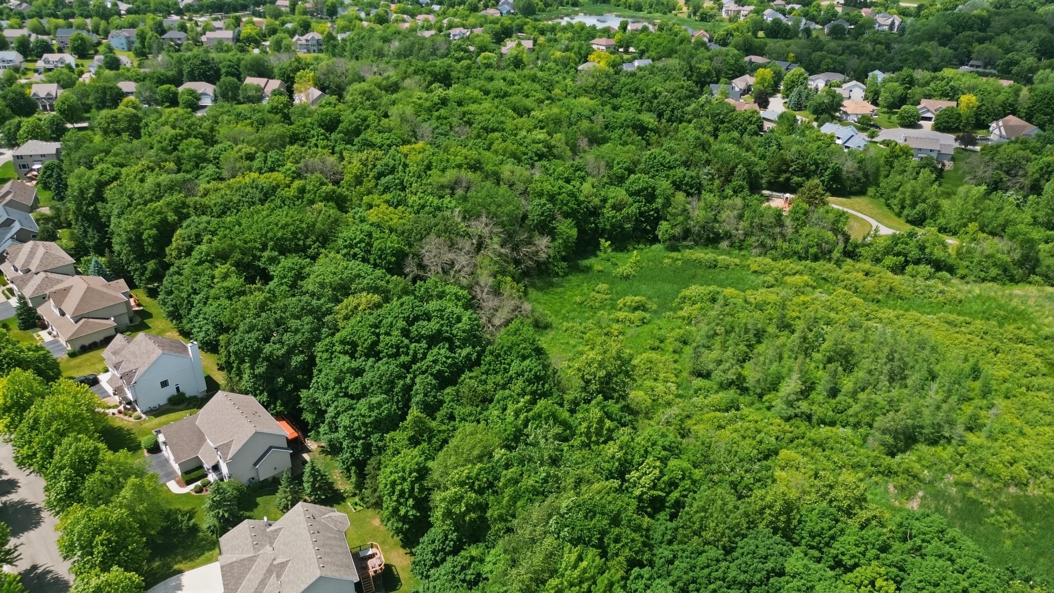 Backing 11 Acres of Protected City-Owned Woods for Unmatched Privacy