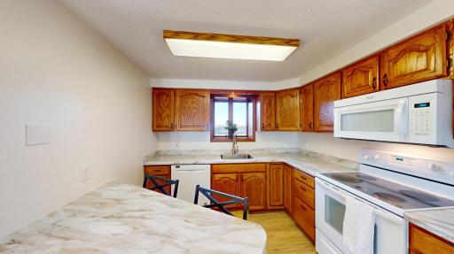 808 Lake Chapeau Drive, 201, Albert Lea, MN 56007