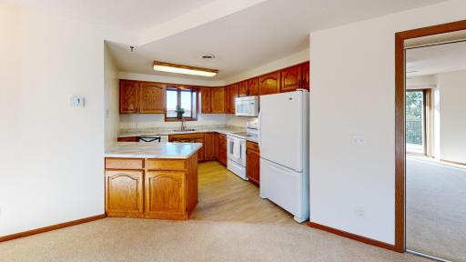 808 Lake Chapeau Drive, 201, Albert Lea, MN 56007