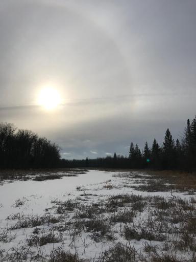 10498 County Road 30, Big Falls, MN 56627