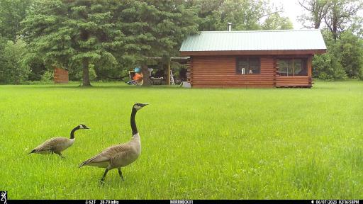 10498 County Road 30, Big Falls, MN 56627