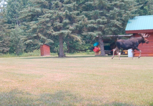 10498 County Road 30, Big Falls, MN 56627