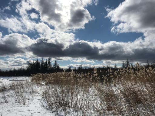 10498 County Road 30, Big Falls, MN 56627