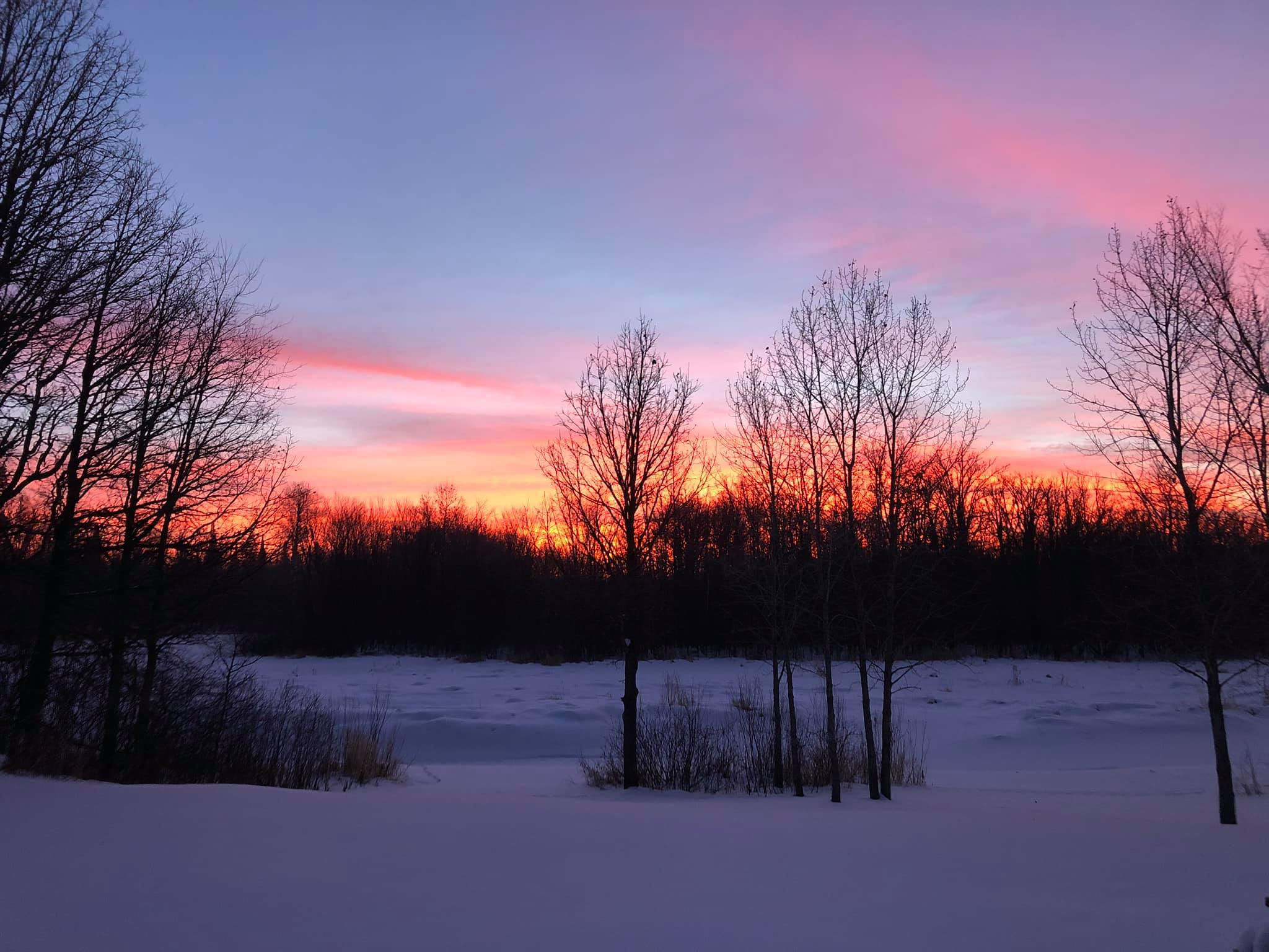 Cabin Porch Winter sunrise across the creek.png