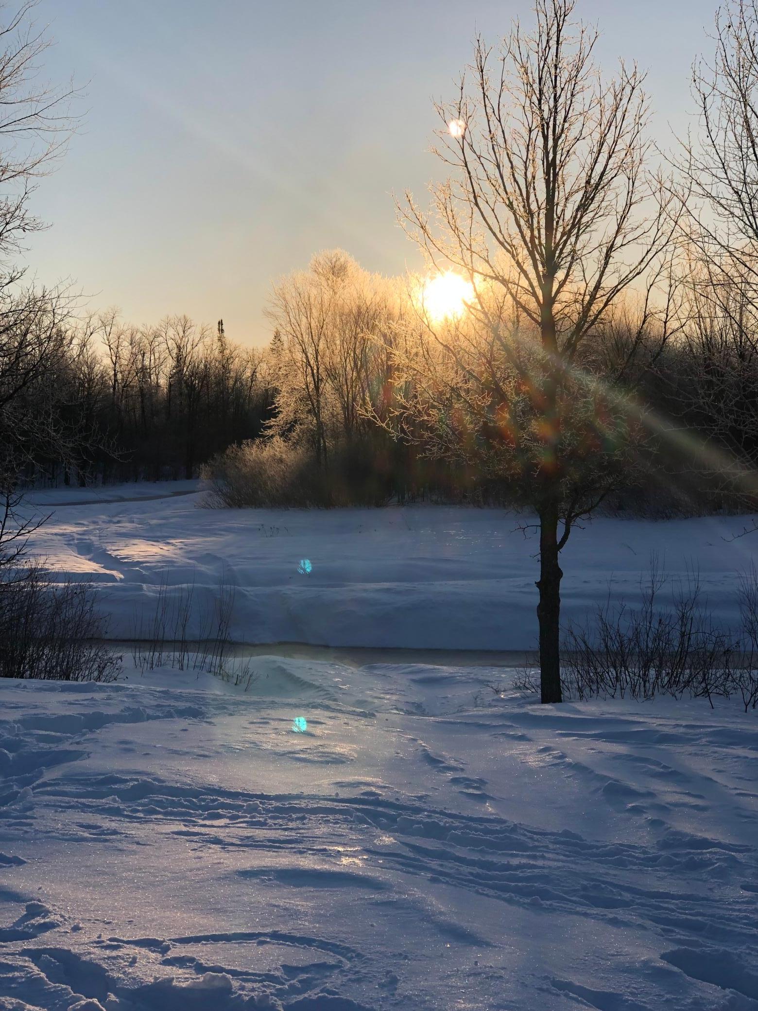 Cabin front porch winter sunrise.JPG