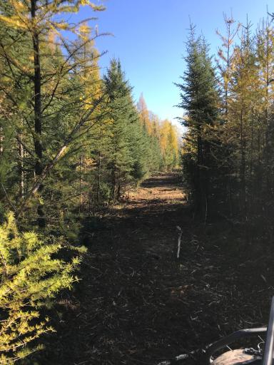 10498 County Road 30, Big Falls, MN 56627