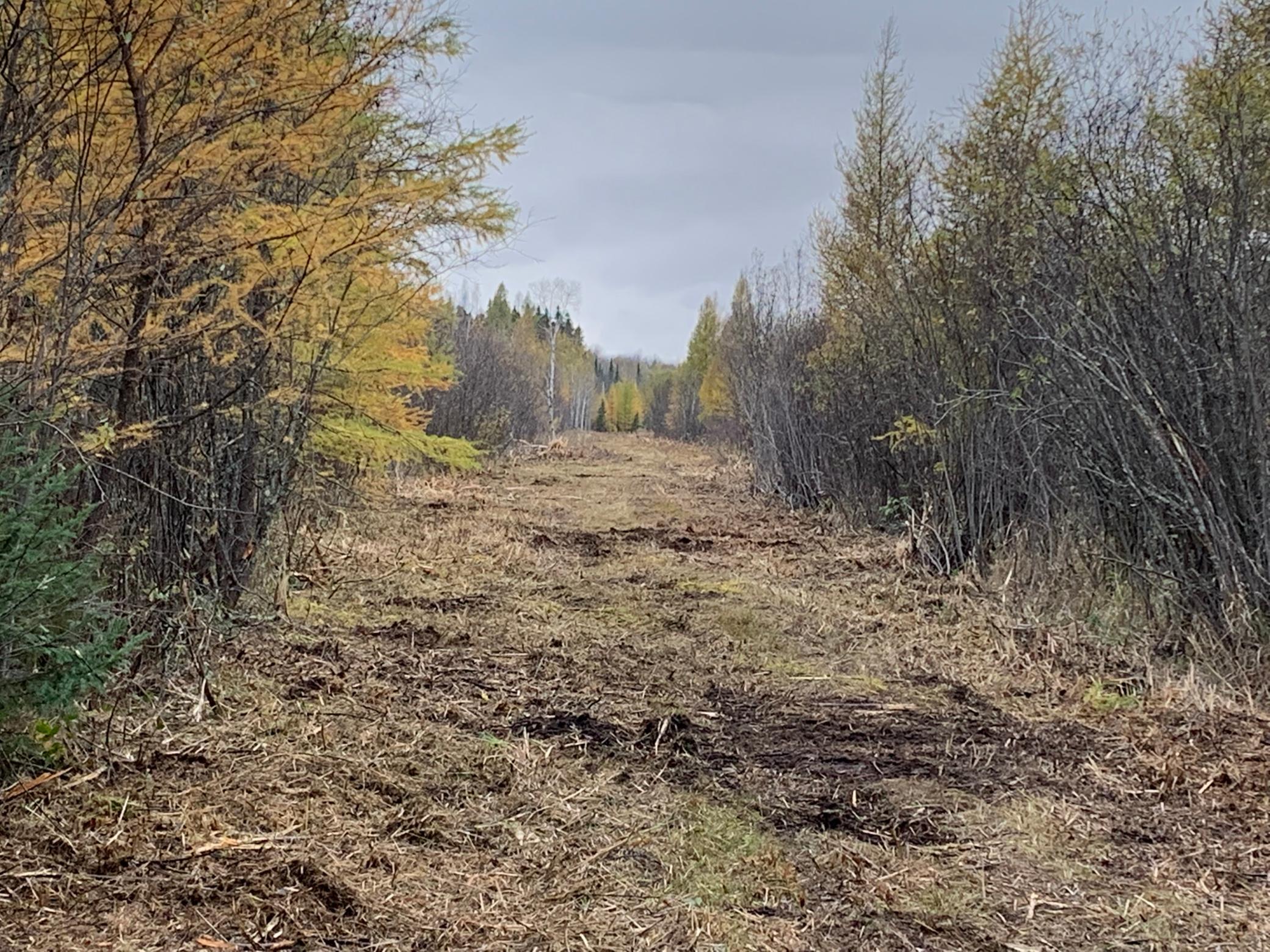 New Trail Cut_Grade 400yds looking west.jpg