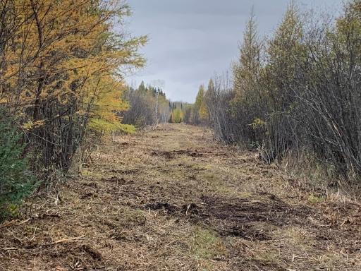 New Trail Cut_Grade 400yds looking west.jpg