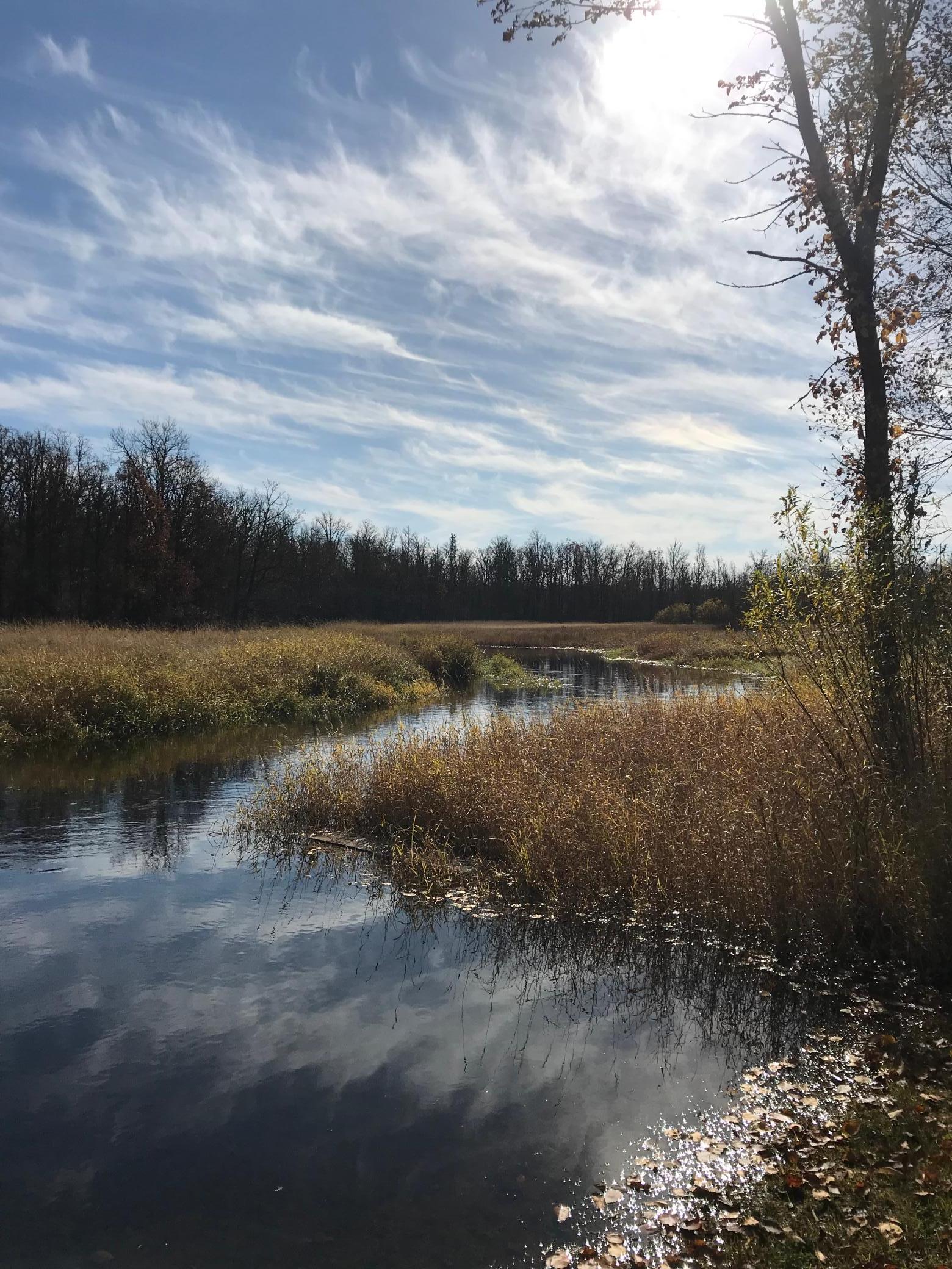 Hay Creek in front of cabin_Spring.jpeg
